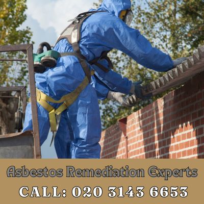 Asbestos Remediation Experts Elmstead