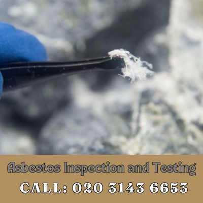 Comprehensive Asbestos Inspection and Testing Services in Elmstead